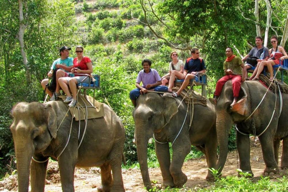 Elephant safari, Adventure in India