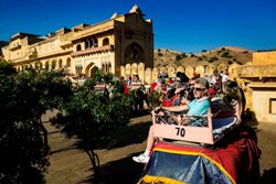 Amber Fort Jaipur Rajasthan