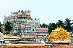 Gopurams Trichy