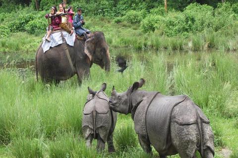 jungle safari east india