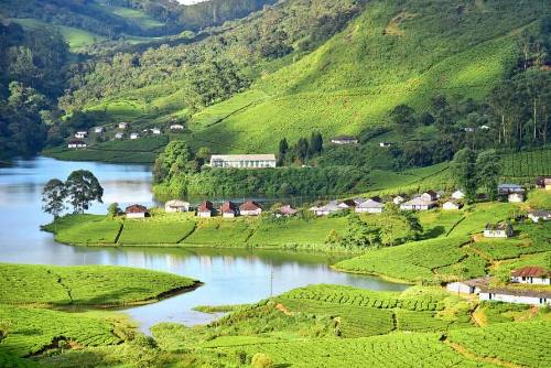 munnar kerala